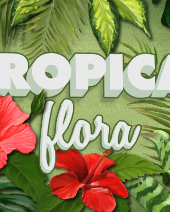 Tropical Flora (vector & raster) Illustrations